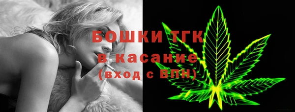 дмт Алексин