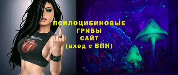 дмт Алексин