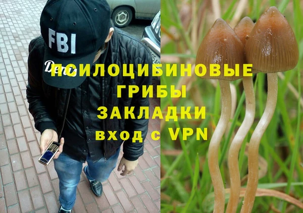 эйфоретик Алзамай