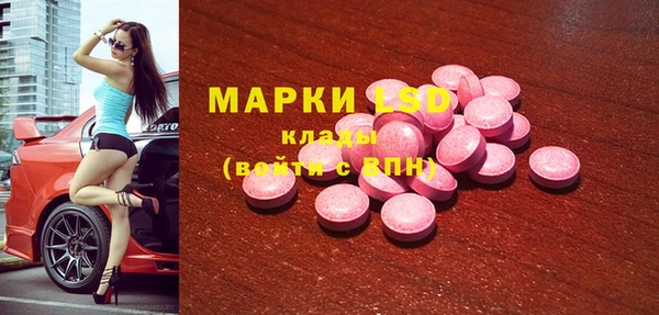 эйфоретик Алзамай