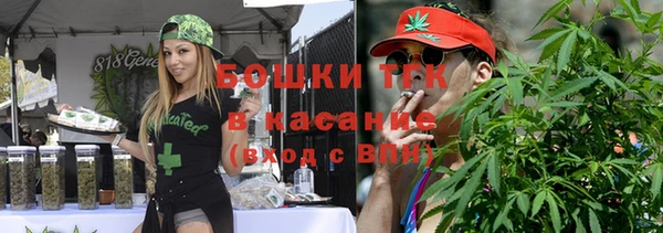 дмт Алексин