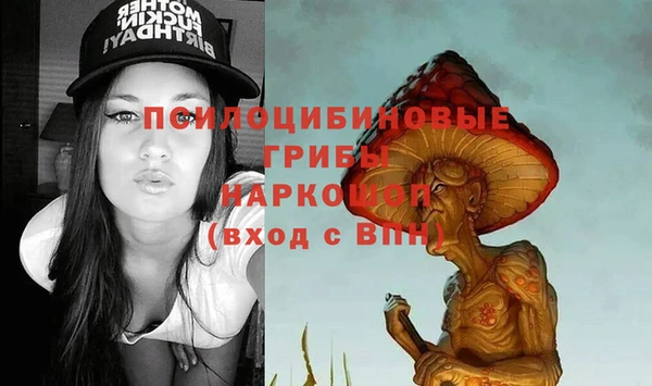 дмт Алексин