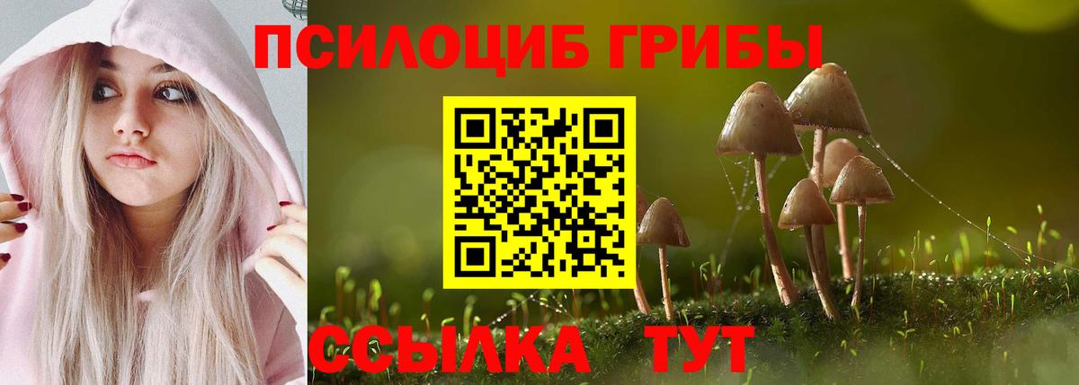 Галлюциногенные грибы Cubensis Заводоуковск