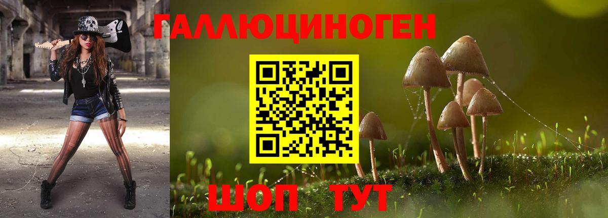 Галлюциногенные грибы Magic Shrooms  Вход с VPN  Заводоуковск 